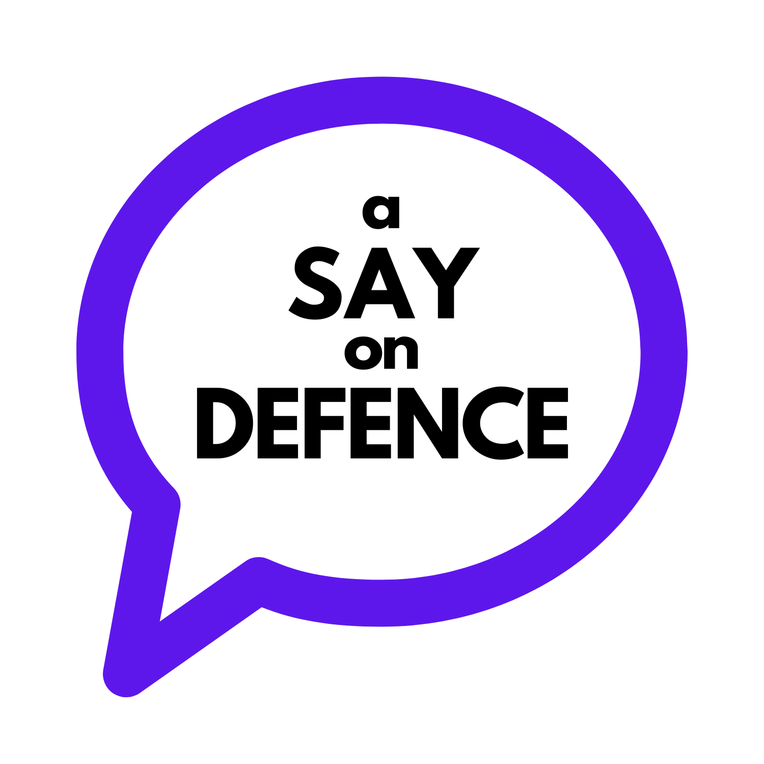 A Say On Defence